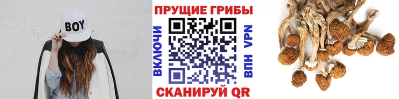 Псилоцибиновые грибы мицелий  как найти закладки  Устюжна 